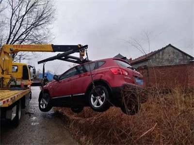 浦东新区楚雄道路救援